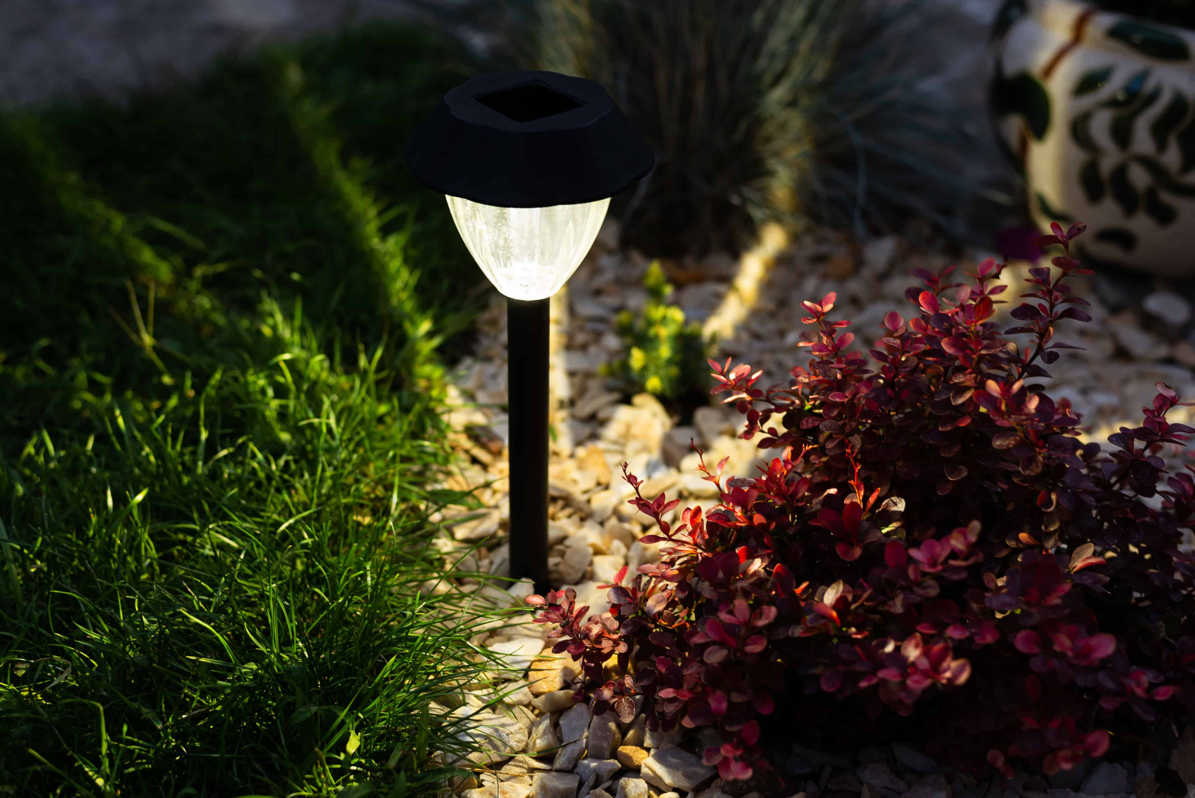 Landscape Lighting image