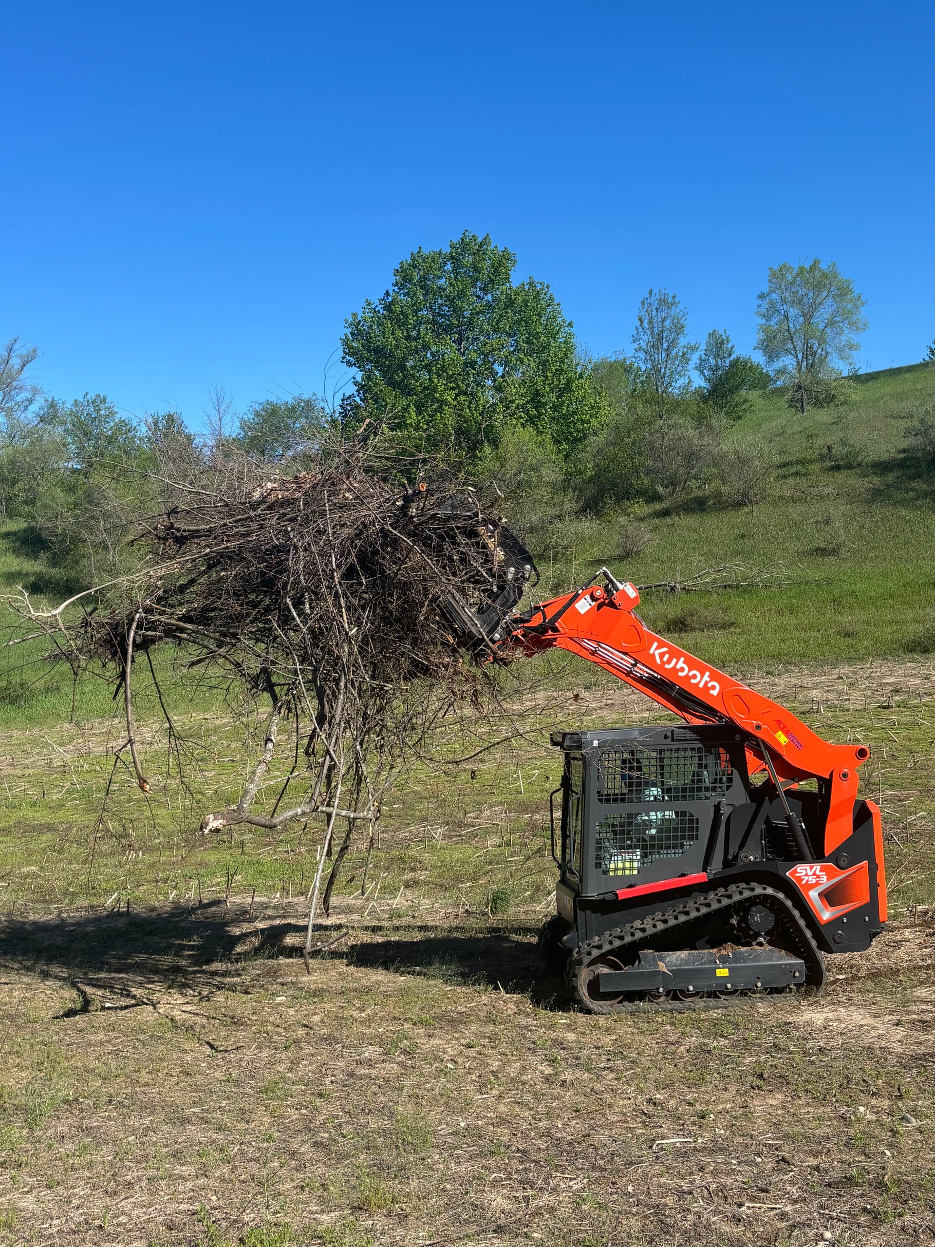 Gallery photos for Autumn Olive Brush Clearing and Burn in Leelanau: Image #1